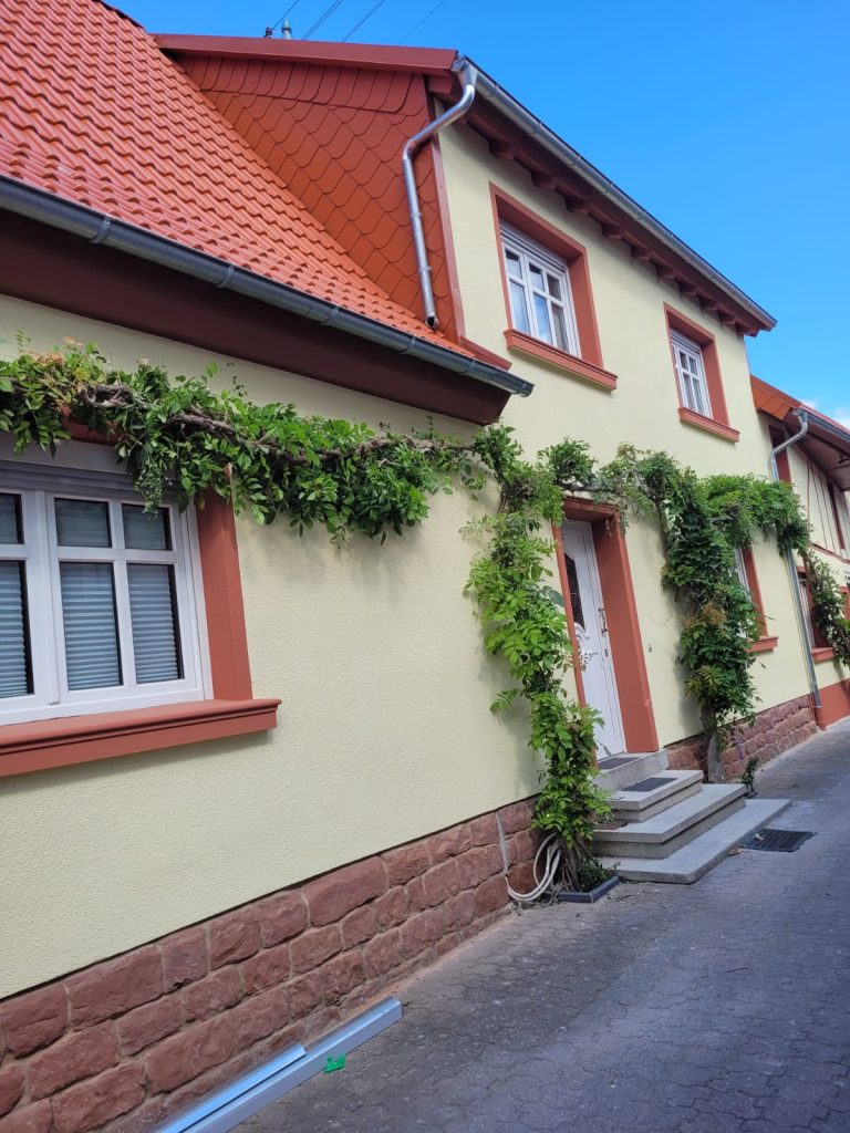 Gerüstbau für Fassadenverkleidung und Fassadendämmung in Speyer und Mannheim
