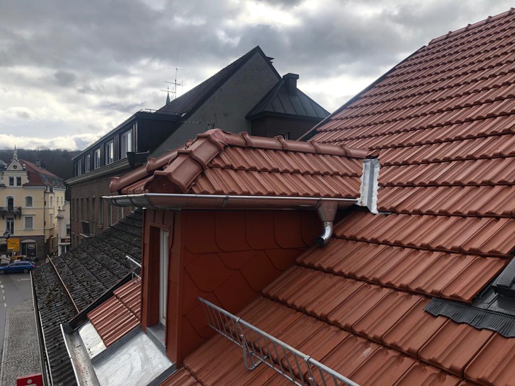 Malerbetrieb und Dachdecker für Dachreinigung und Fensterbau in Speyer und Mannheim sowie Freiburg
